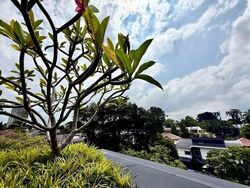 Kingsmead Road (D10), Detached #539440951